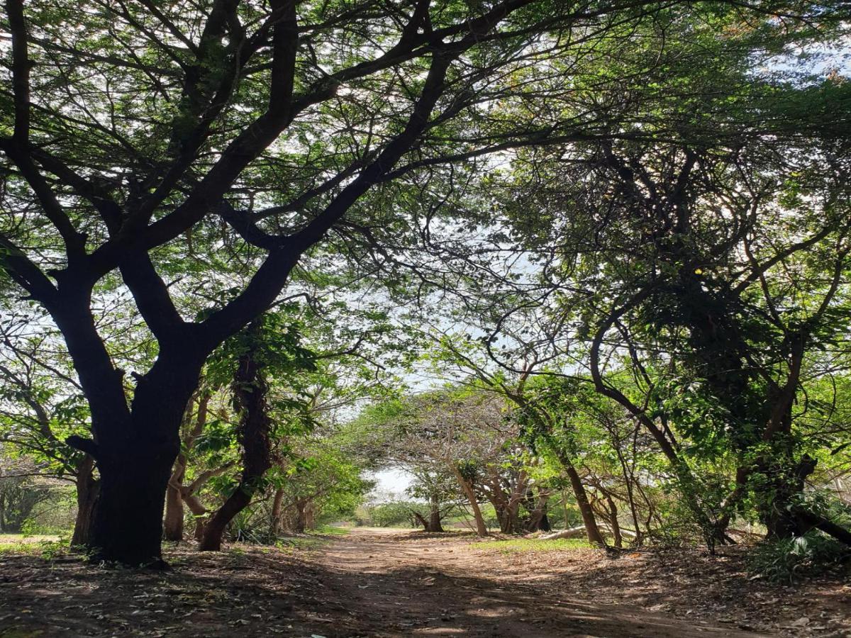 Pumusa Bushcamp Hluhluwe Dış mekan fotoğraf