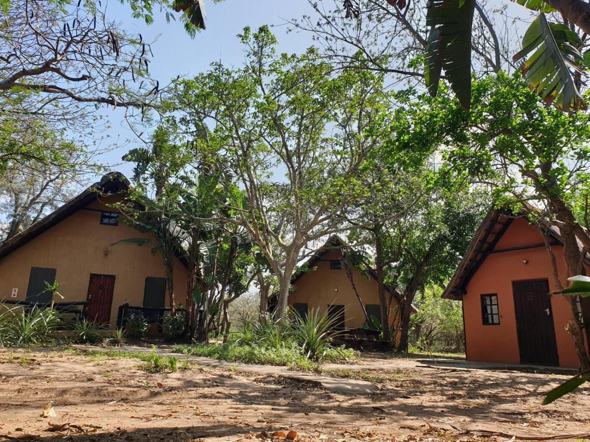 Pumusa Bushcamp Hluhluwe Dış mekan fotoğraf