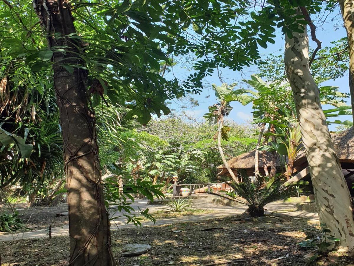 Pumusa Bushcamp Hluhluwe Dış mekan fotoğraf