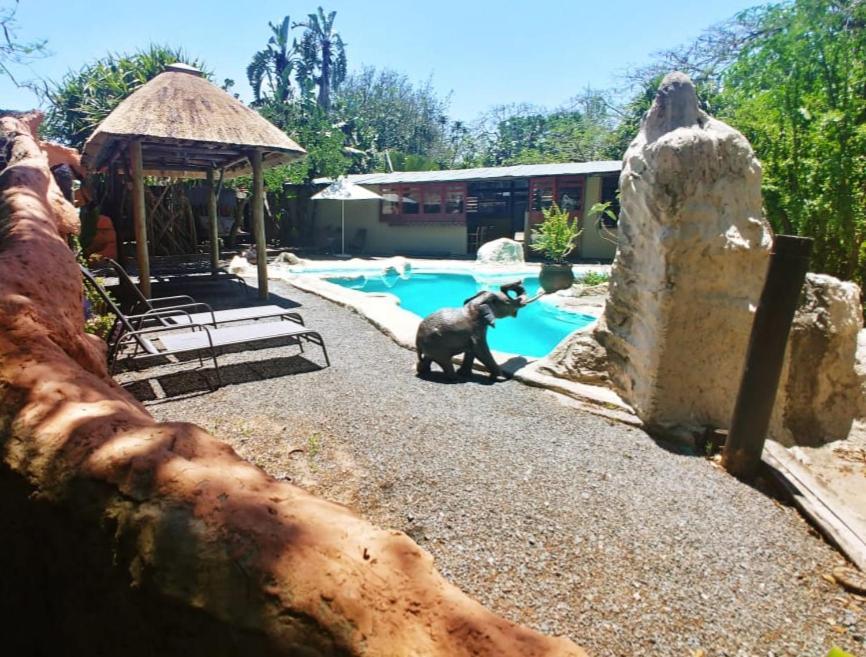 Pumusa Bushcamp Hluhluwe Dış mekan fotoğraf