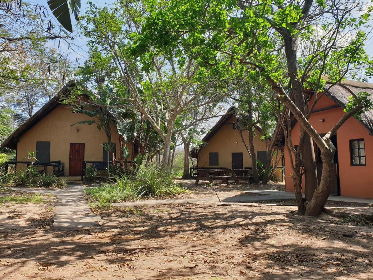 Pumusa Bushcamp Hluhluwe Dış mekan fotoğraf